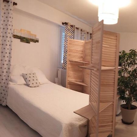 Grand Studio, Super Equipe, 2 Pas Du Centre-Ville "Clos-Du-Boulanger" - Parking Prive Montbeliard Bagian luar foto