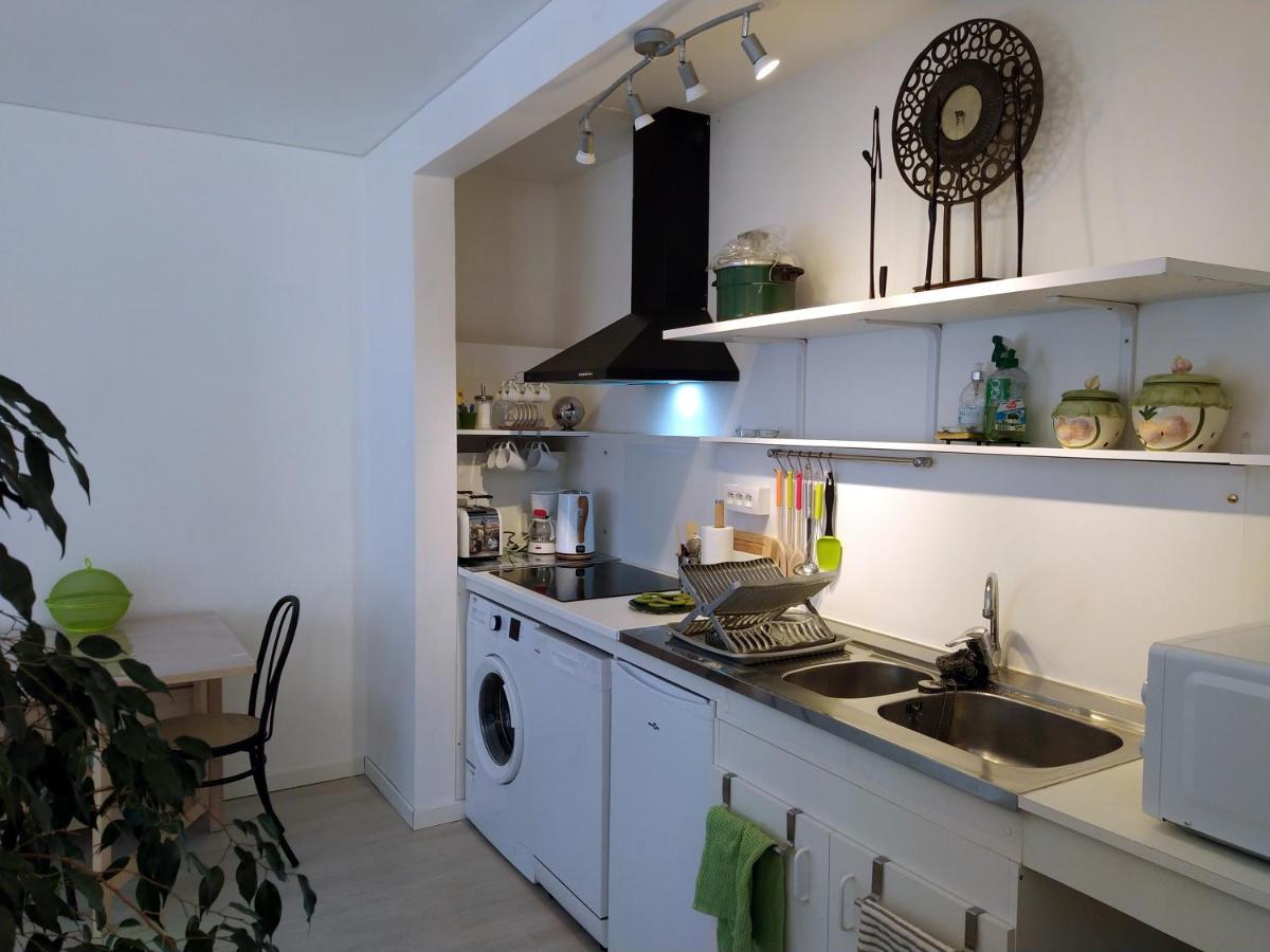Grand Studio, Super Equipe, 2 Pas Du Centre-Ville "Clos-Du-Boulanger" - Parking Prive Montbeliard Bagian luar foto